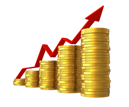 bigstock financial success concept 6848896 removebg preview